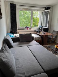 Apartment in Prohlis - Dresden - 9