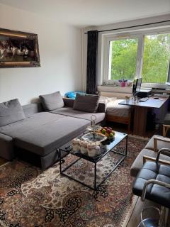Apartment in Prohlis - 6