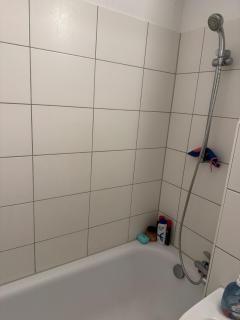 Apartment in Prohlis - 5