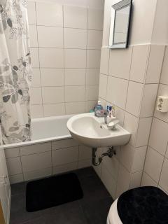 Apartment in Prohlis - 4