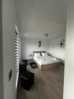 LiAn House - Corbeni - 4