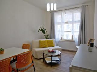 Quiet and spacious flat near city centre in Prague 3 - Prague - 3