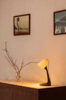 Irie - baskeyrentals - Aretxabaleta - 4