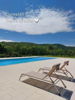 Ciucea185 -Casa din Livadă - Ciucea - 9