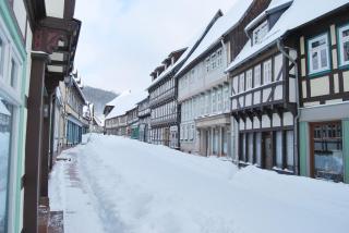 Jägerwohnung im Forsthaus am Schindelbruch - Niederdorla - 3