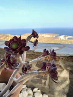 Serenity Hill - Kithnos - 2