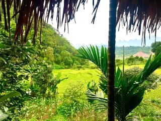 Nếp homestay - Làng Xa - 9