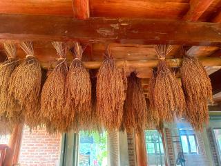 Nếp homestay - Làng Xa - 6