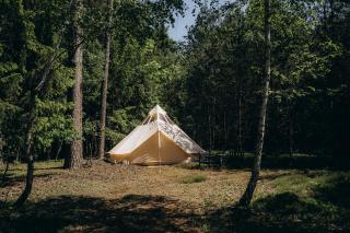 Glamping U Lesa - Rychnov nad Kněžnou - 6