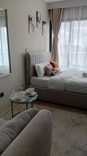Lovely Studio Syokimau near JKIA - Nairobi - 7