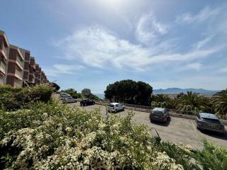 B084-Confort et serenite piscine et stationnement - Cannes - 1