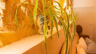 Moulin Lombard B&B - Les Arcs-sur-Argens - 2