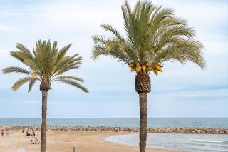 Vida - Calafell - 1