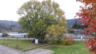 Ferienhaus in Mehring - Mehring - 0