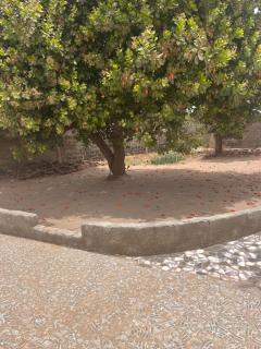 Guest house - Sanyang - 9