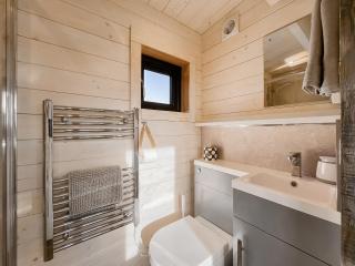 Bumblebee Cabin - Uk45403 - Forfar - 3