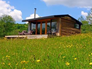 Serenity Lodge - Llandeilo - 0