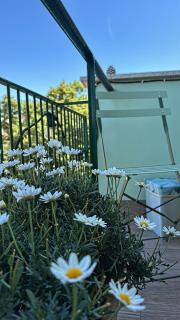 Monstera House Roma Trastevere - Roma - 8