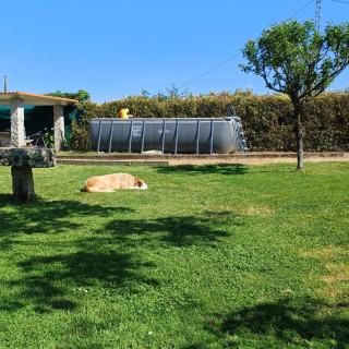 Casa Fenix - Homey Galicia - Mos - 9