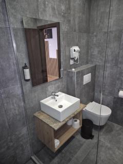 Pensiunea Sofia - Satu Mare - 3
