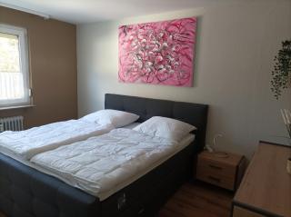 Blankenburgerstr 8b FeWo Batian am Waldesrand - Braunlage - 1