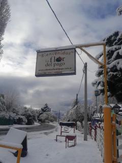 la flor del lugar - Potrerillos - 3