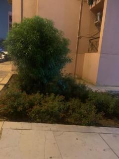 2 bedrooms Fully Air-Conditioned Rehab market - Il Cairo - 5