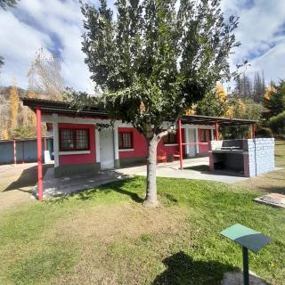 la flor del lugar - Potrerillos - 0
