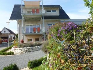 Apfelhof - Ferienwohnung Wielath - Salem - 2
