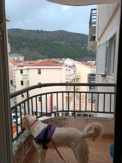 A bedroom apartment for four people - Kravlja - 8