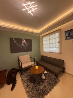 Casa Reforma con alberca - Veracruz - 8