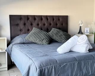 Cómodo, especial y único departamento en Santiago - Santiago - 7