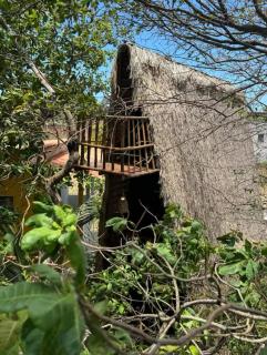 OccA Pipa - Cabana PicaPau - 0