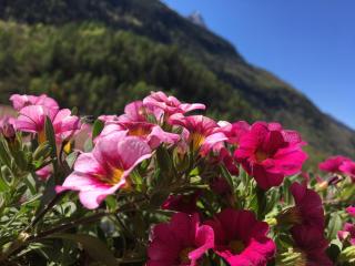 Miralago Casa Vacanze - Villa di Chiavenna - 6