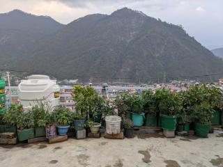 Jai Maa Gange Homestay - 1