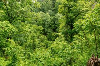 Natur pur - Kraiburg am Inn - 6