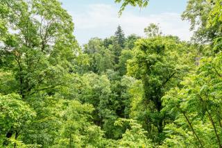 Natur pur - Kraiburg am Inn - 5