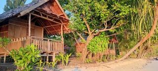 Naviza Homestay - - 2