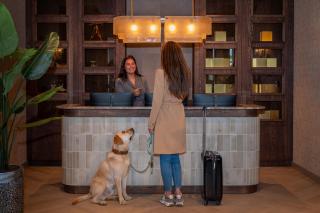 Hotel De Zeevaartschool - Vlissingen - 9