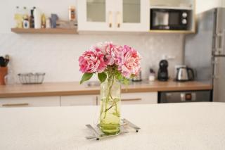 Appartement Centre-Ville - Avignon - 4