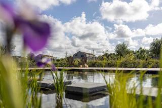 Hello Zeeland - Tiny House Zeeuwse Liefde 16 - Westkapelle - 8