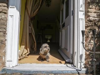 Cefn Campstone - Abergavenny - 9