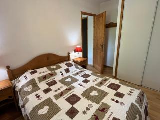 Confortable 2 pièces cabine à Samoëns avec wifi, parking et animaux admis - FR-1-629-105 - 1