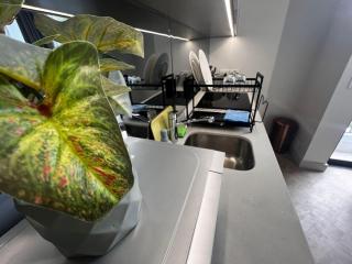 Athule Inn - Rosebank - 3