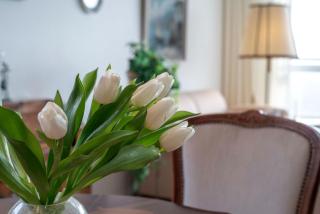 Frische Brise FeWo 12 01 - 1