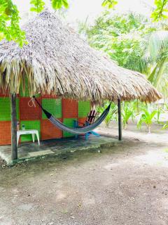 Eco Hotel Las Palmeras - Isla Grande - 7