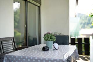 Ferienwohnung Am Lehen Schiltach - Schiltach - 8