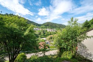 Ferienwohnung Am Lehen Schiltach - Schiltach - 7