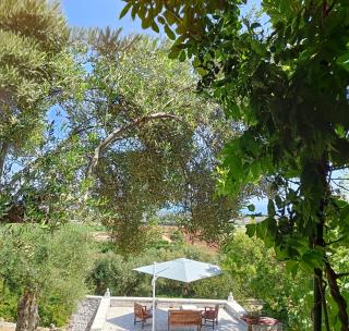 le finestre sul mare - Conversano - 8