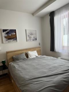 Apartman Vila Jaram, Kopaonik - Kopaonik - 2